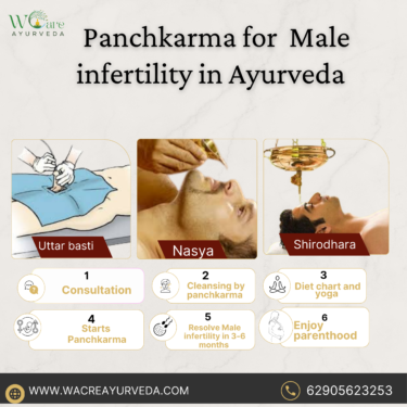 Top Male Fertility Treatments in India