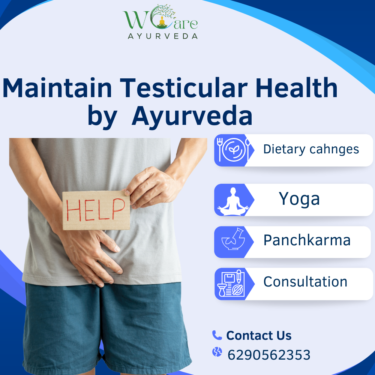 Maintaining Testicular Health for Better Fertility