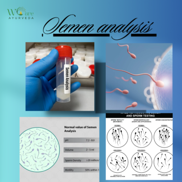Male Fertility Testing: What to Expect in India