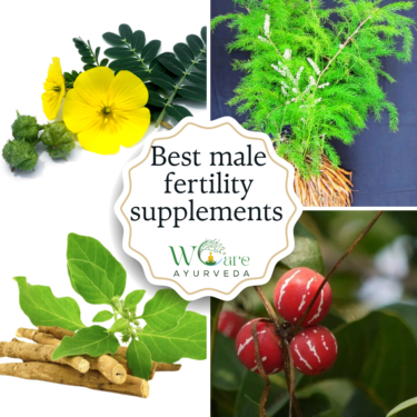 Best Male Fertility Supplements: Embracing Ayurvedic Wisdom