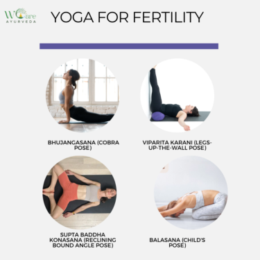 Combining Yoga and Ayurveda for Fertility